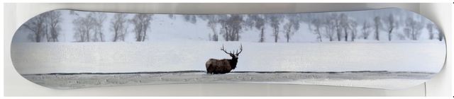 Classy Living Exhilarating Elk in Snowy Landscape Decko-Board Wall Art-0