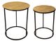 Sagebrook Home Round 2 Pieces Black and Gold Metal Side Table Set-0