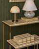 Currey & Company Dezi Natural C Table with Brass Base-5