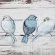 Olliix by Madison Park Perched Birds Grey and White Hand Painted Wood Plank-1