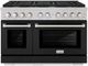 ZLINE 48" Satin Stainless Steel Pro Style Gas Range with Black Matte Door-0