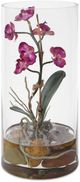 Uttermost® Mariposa Green/Fuchsia Orchid-0