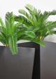 Le Present Low Tapered Black 22" Planter-2