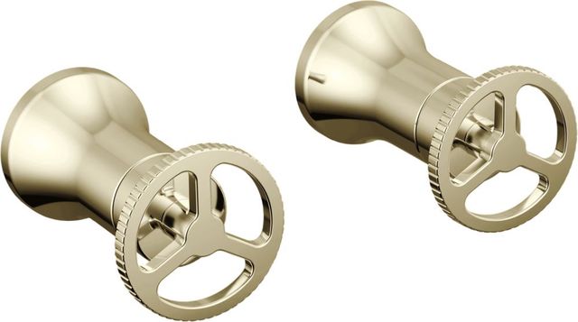 Delta Trinsic® Polished Nickel Wheel Handle -Wall Mount Lav-0