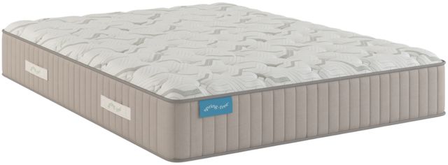 Sherwood® Bedding Spring Free™ Approachable 12" Latex Firm Tight Top Queen Mattress-0