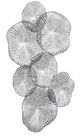 Uttermost® Ripley Pewter Wall Decor-3
