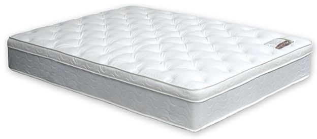 Furniture of America® Bird of Paradise Euro Pillow Top Mattress-Eastern King