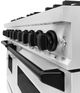 ZLINE Classic Series Autograph Edition 48" Stainless Steel Pro Style Dual Fuel Range and Matte Black Accents-4