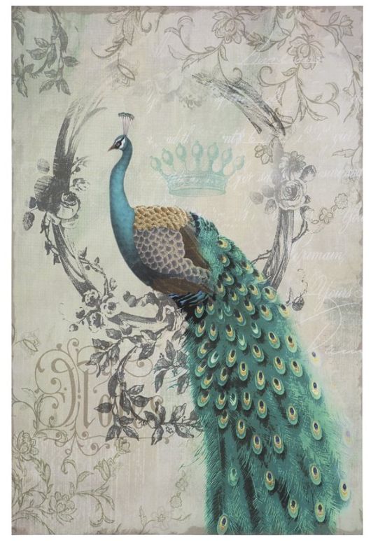 YHD Peacock Poise II Wall Art-0