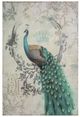 YHD Peacock Poise II Wall Art-0