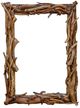 Uttermost® Rooted Natural Reflection Mirror-0