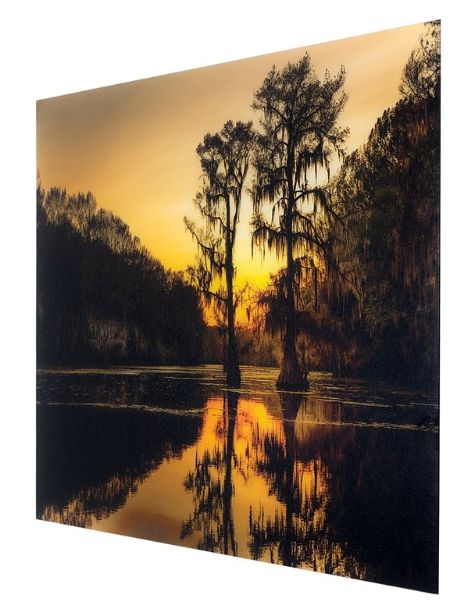 YHD Sunrise with Cypress Trees Wall Art-2