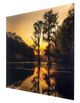 YHD Sunrise with Cypress Trees Wall Art-2
