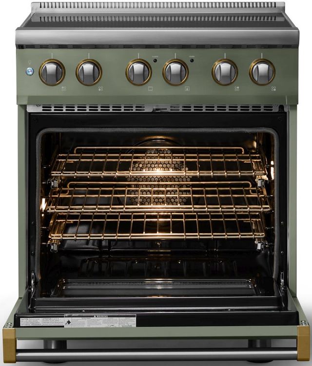 Viking® 5 Series 30" Eucalyptus Pro Style Induction Range with Brushed Brass Trim-1