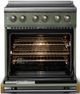 Viking® 5 Series 30" Eucalyptus Pro Style Induction Range with Brushed Brass Trim-1