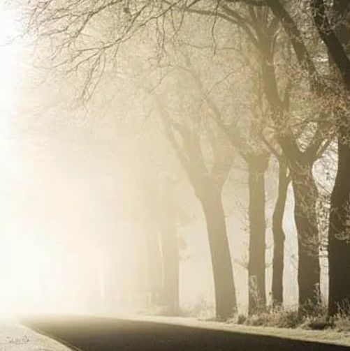Classy Art Fading Into the Light by Martin Podt Wall Art-1