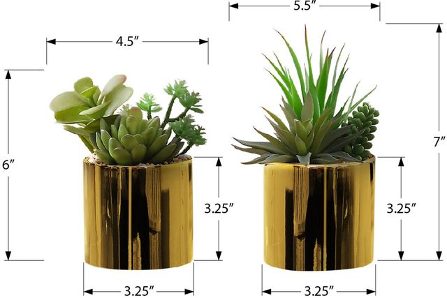 Monarch Specialties Inc. 2-piece 7" Artificial Succulent with Gold Pot-2