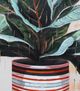 StyleCraft Potted Plant II Wall Decor-1