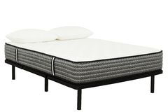 Primo International Majesty 12 Tight Top
