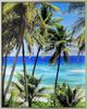 Crestview Collection Tropical 2-Piece Blue/Green Wall Art Set-1