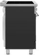Smeg Professional 24" Matte Black Pro Style Induction Range-1
