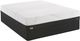 Sealy® Conform™ Performance™ Fondness N7 Gel Memory Foam Cushion Firm Tight Top Twin XL Mattress-3