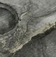 Dalyn™ Rug Company Odyssey OY14 Charcoal 5'x8' Area Rug-5