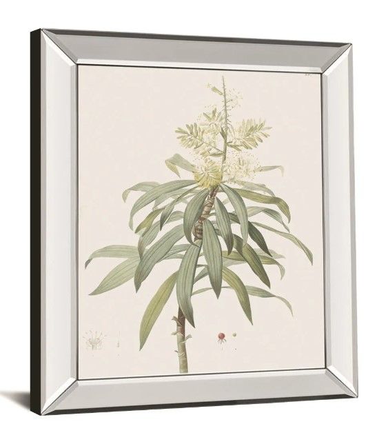 Classy Art Dracaena Reflexa by Pierre Joseph Redoute Mirrored Frame Wall Art-1