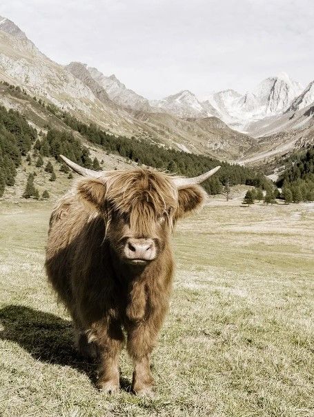 Classy Art Oetztal Alps by Danita Delimont Wall Art-0