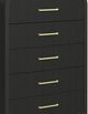 Elements International Ridgemont Black Chest-1