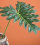 A & B Home Green Sellom Leaf-1
