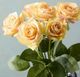 Magnolia Home by Joanna Gaines Peach Real Touch Rose Bundle-0