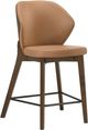 Coaster® Randolph 2-Piece Butterscotch/Red Brown Counter Stool Set-1
