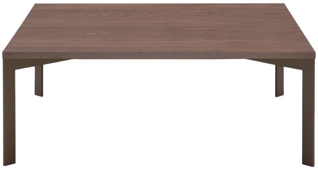 Natuzzi Editions Wire Brown Ash Square Cocktail Table with Caramel Base-0