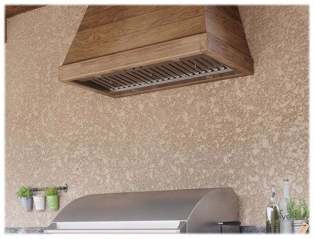 Zephyr Pro Collection Spruce 46" Stainless Steel Outdoor Insert Range Hood -2