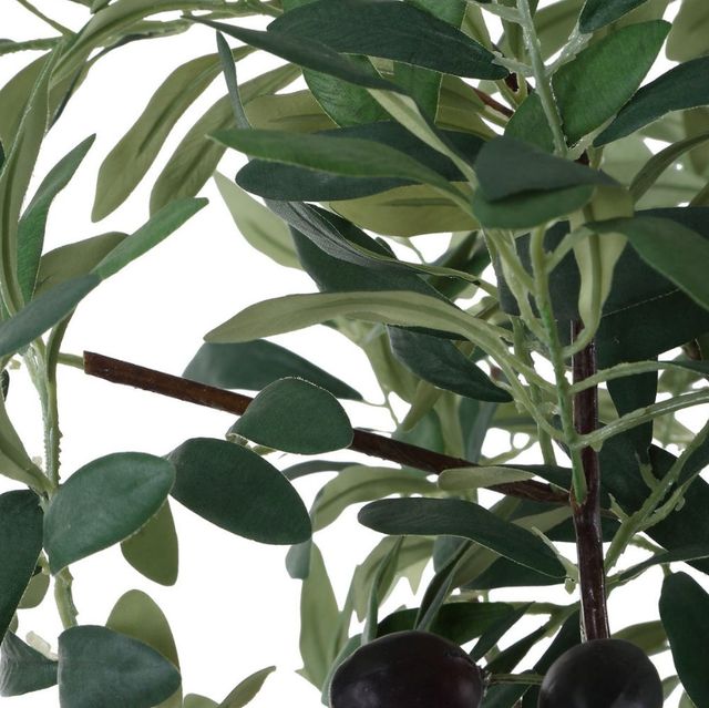 Uttermost® Sonora Gray/Green Olive Tree in Planter-4