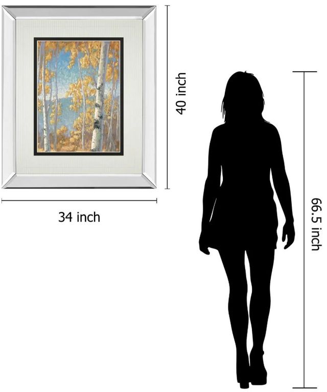 Classy Art Honey Birch Il by John Macnab Mirror Framed Wall Art-2