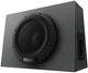 Pioneer 12” Active Subwoofer-0