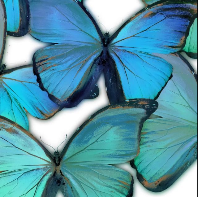 Classy Art Style 6 Gallery Wrapped Giclee on Canvas Wall Art-1