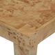 TOV Furniture Brandyss Honey Burl End Table-4