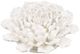 A & B Home Cream Wall Decor-0