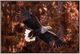 Crestview Wings of Freedom Wall Art-0