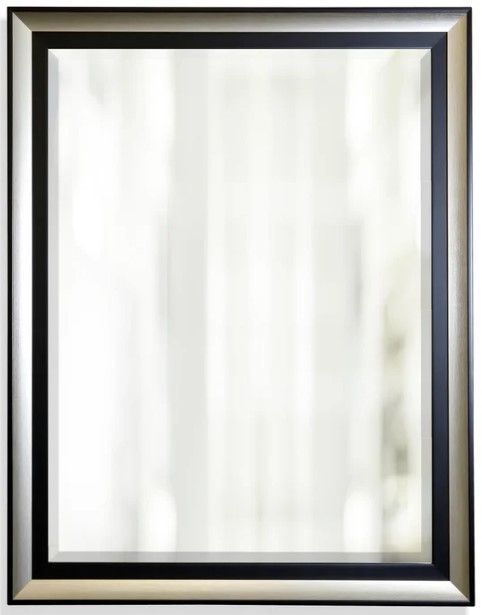 Stylecraft Black/Silver Beveled Framed Wall Mirror-0