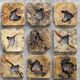 Uttermost® Bahati 9-Piece Natural Wall Decor Set-1