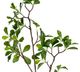 A & B Home Green Leaf Branch-2