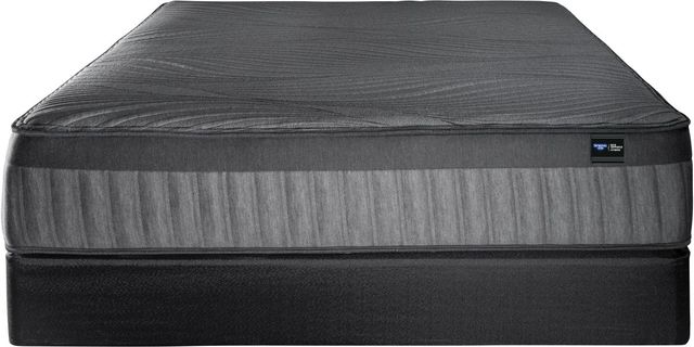 Spring Air® Back Supporter Niki 14" Hybrid Plush Smooth Top Queen Mattress-2
