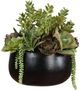 Uttermost® Mico Black/Green Succulent Centerpiece-0