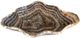 A & B Home Macias Black Hand-Carved Zebra Onyx Bowl-0
