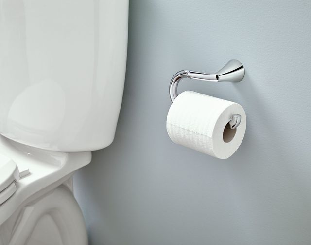 Moen® Glyde™ Chrome Paper Holder-1