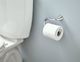 Moen® Glyde™ Chrome Paper Holder-1